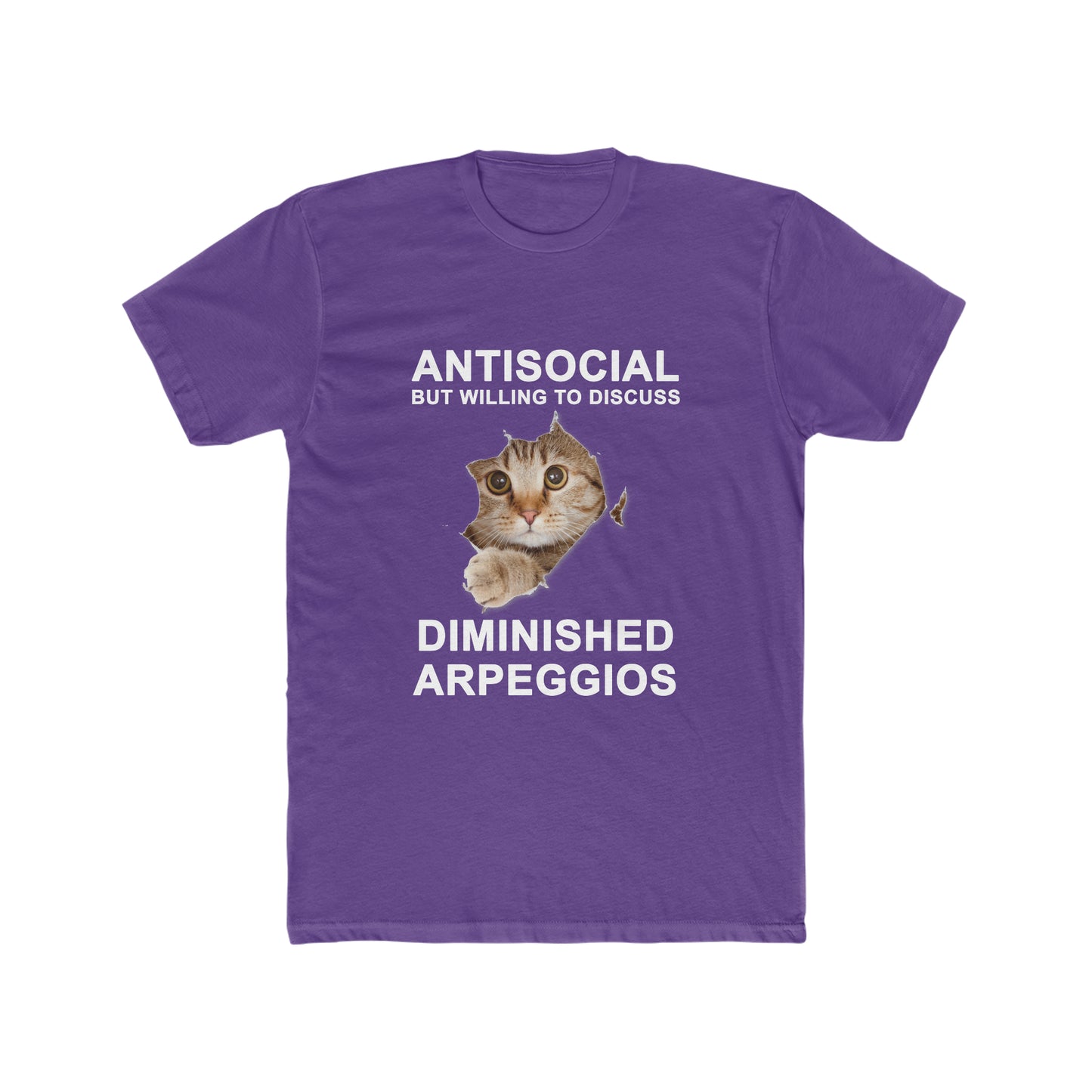 Shy Cat Diminished Arpeggios Shirt | Educational and Fun Wear for Guitarists | Practice Reminder Tee | Novelty Gifts for Music Teachers
