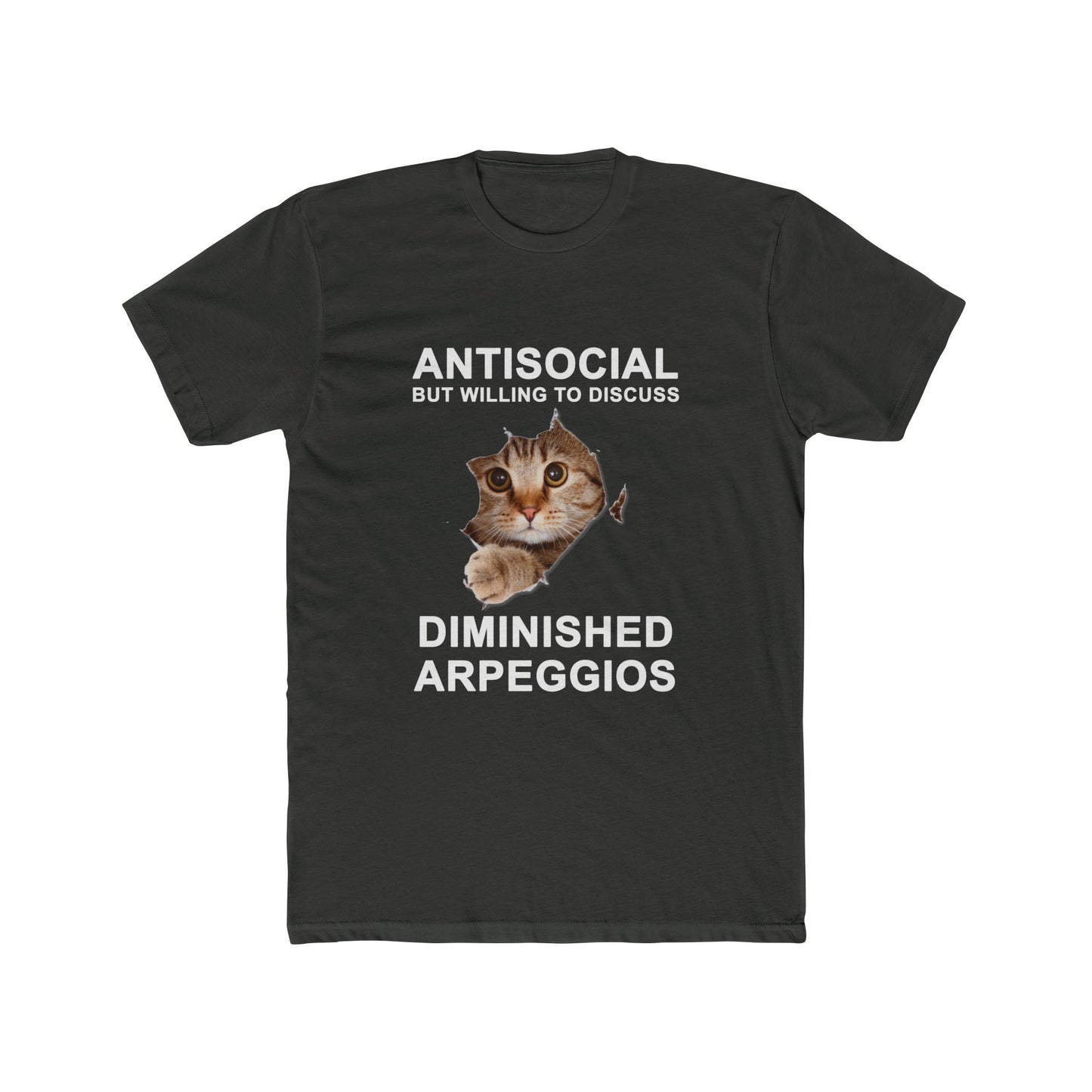 Shy Cat Diminished Arpeggios Shirt | Funny Men's Cotton Crew Tee | Novelty Gifts for Musicians