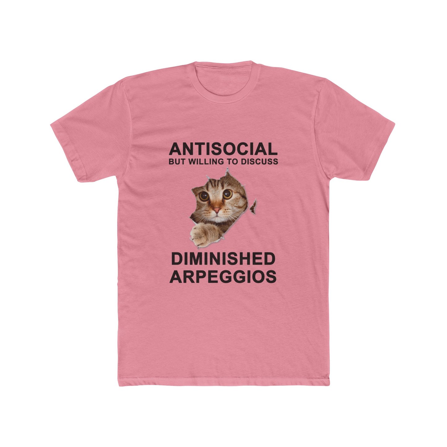 Shy Cat Diminished Arpeggios Shirt | Funny Men's Cotton Crew Tee | Novelty Gifts for Musicians
