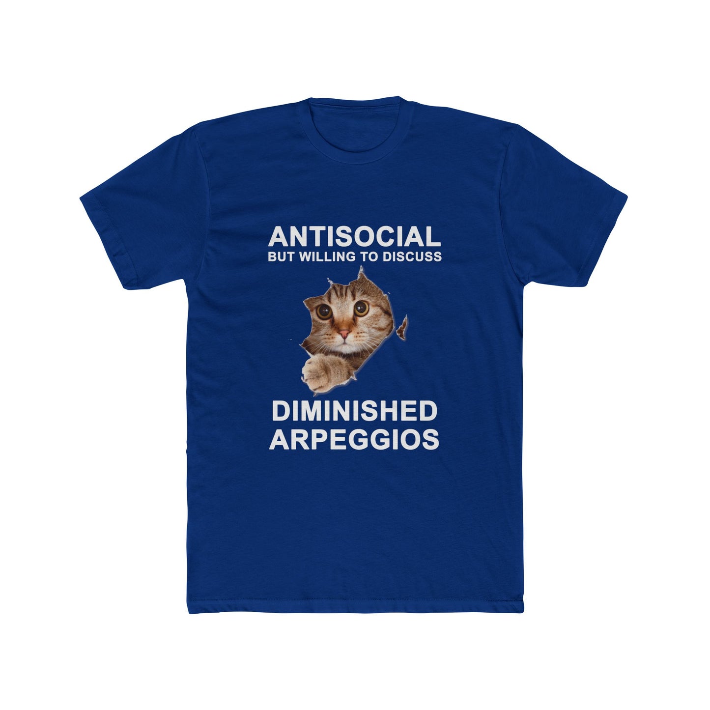 Shy Cat Diminished Arpeggios Shirt | Funny Men's Cotton Crew Tee | Novelty Gifts for Musicians